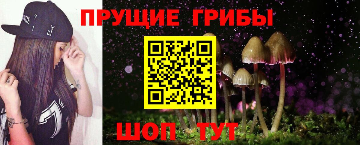 Псилоцибиновые грибы Magic Shrooms  Вход с VPN  Лыткарино 